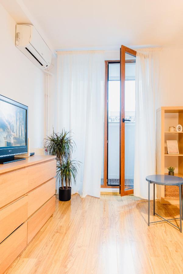 City Center Downtown Apartment 布加勒斯特 外观 照片